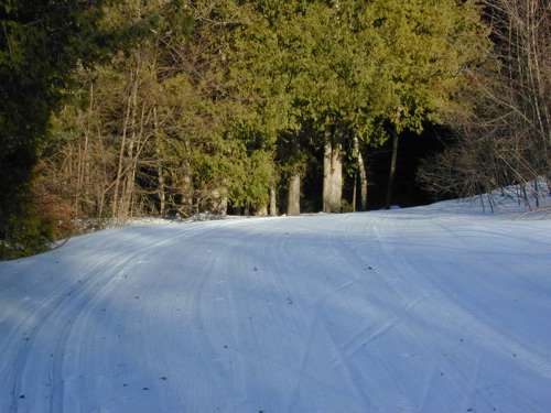 Cross Country Ski Trails